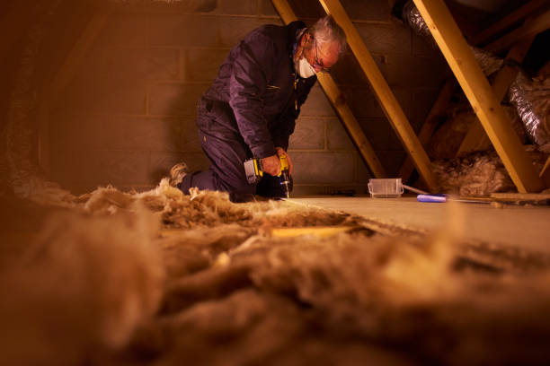 Best Specialized Insulation Services in Kingsburg, CA